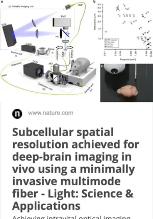 Endomicroscopy_subcellular spatial resolution for deep-brain imaging