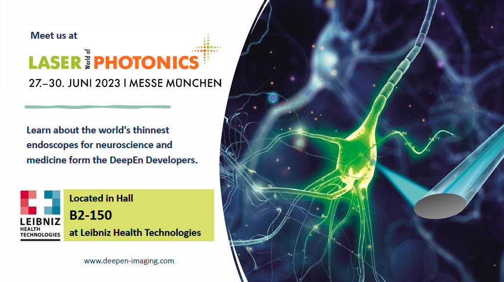 Bringing Neurophotonics to Laser World