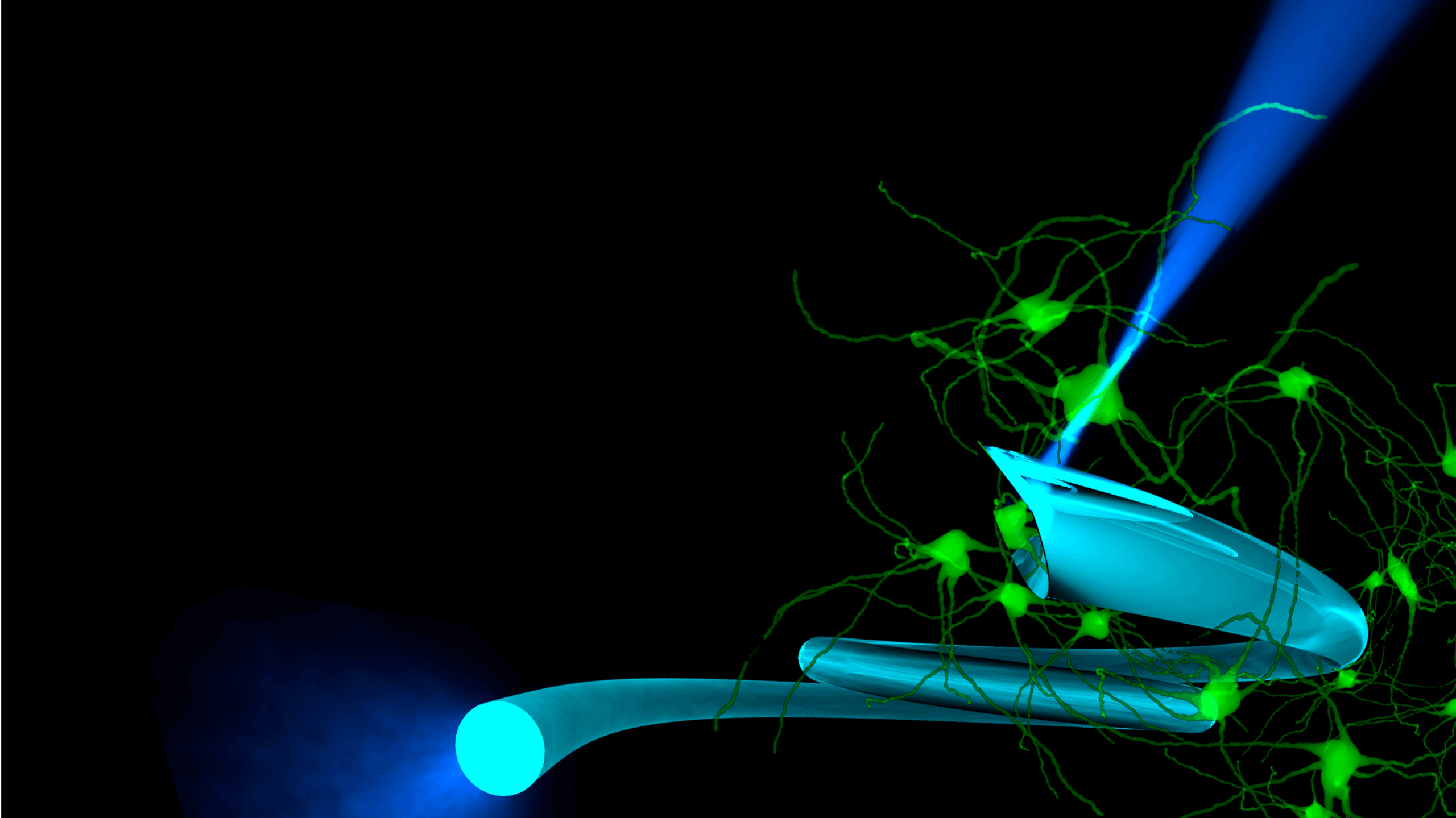 Neurogate Background Header L Neurogate Header