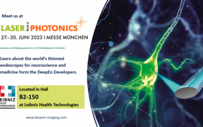 Bringing Neurophotonics to Laser World